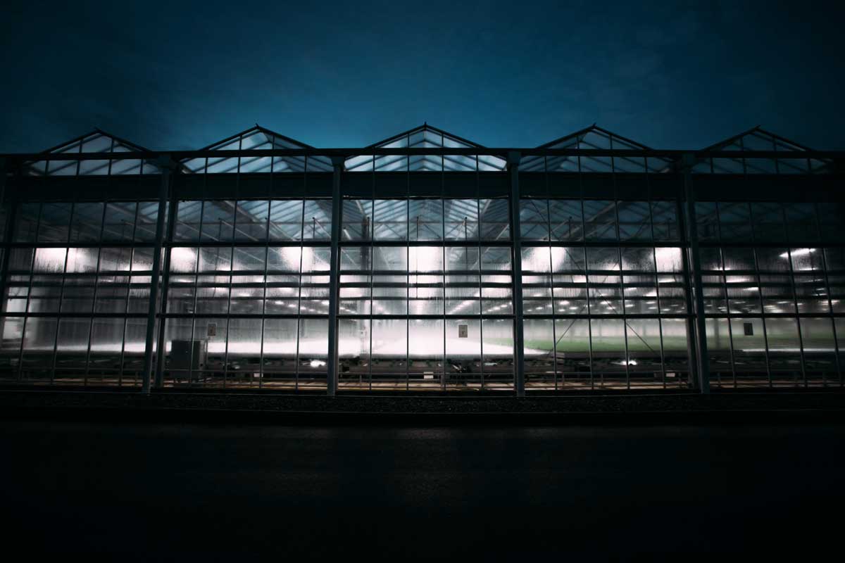 Greenhouse Light Pollution Reduction Strategies using LEDs